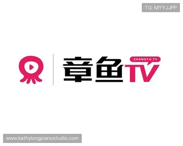 半岛体育在线直播平台的互动功能与用户评论区使用指南